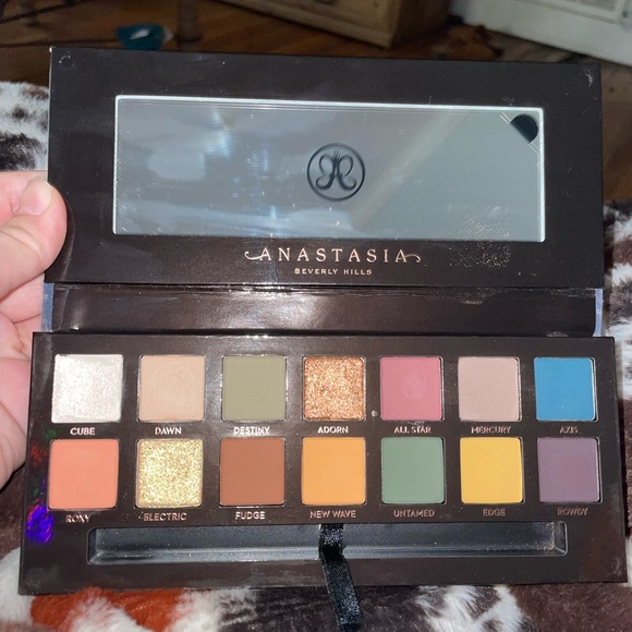 Anastasia Beverly Hills Other - Anastasia subculture eye shadow palette